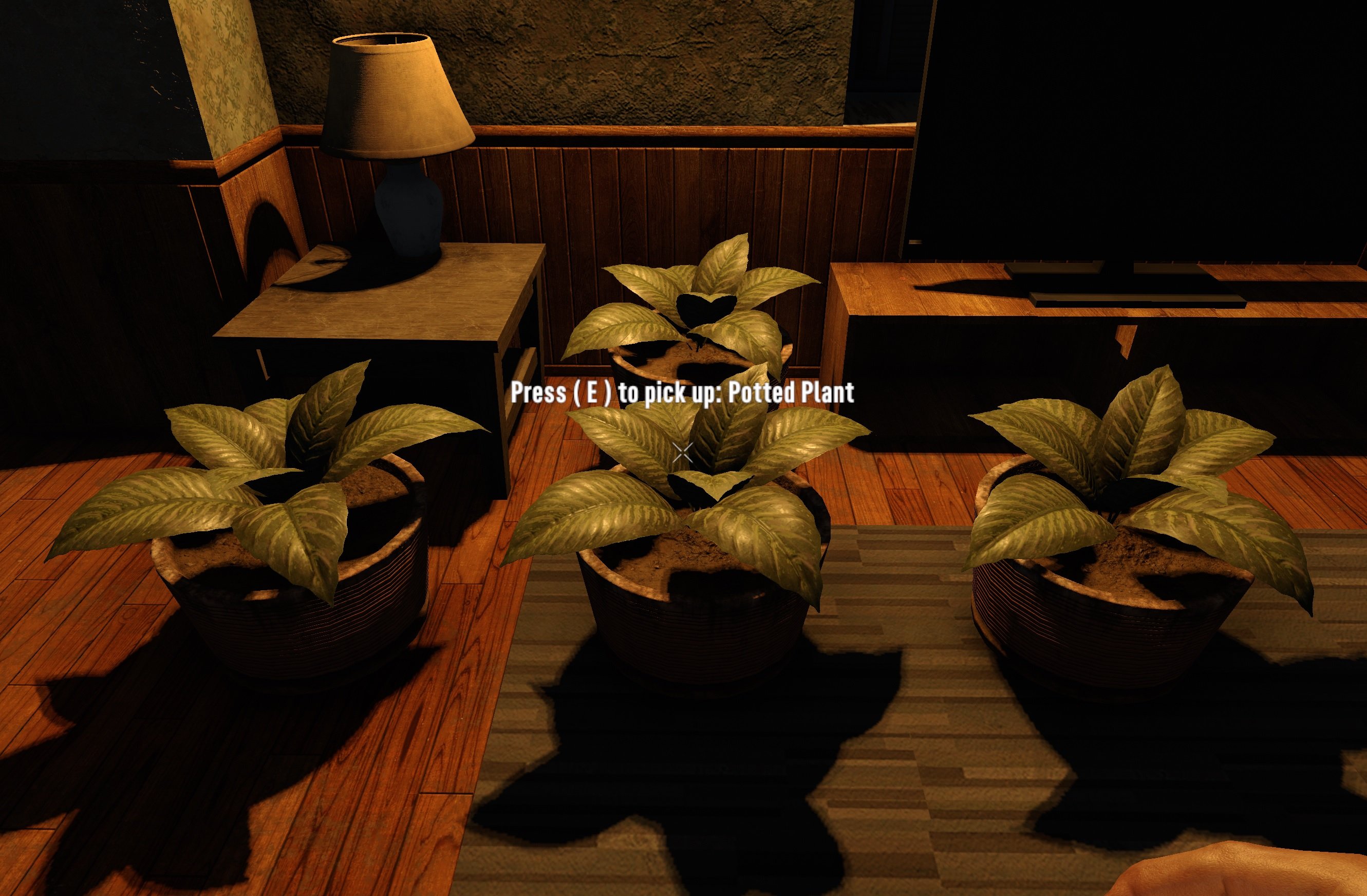 More information about "Potted Plants"